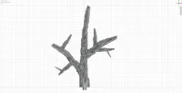 Giant Branch B