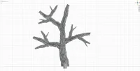 Giant Branch C