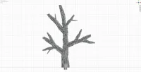 Giant Branch D