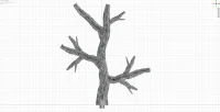 Giant Branch E