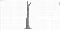 Medium Base and Trunk A