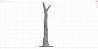Medium Base and Trunk B
