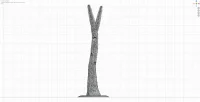 Medium Base and Trunk D