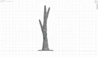 Large Base and Trunk C