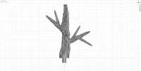 Tiny Branch C