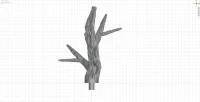 Tiny Branch D