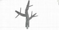 Small Branch A