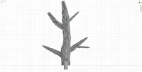 Small Branch B