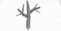 Small Branch C