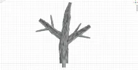 Small Branch D