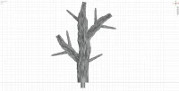 Small Branch F