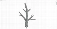 Medium Branch B