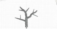 Medium Branch C