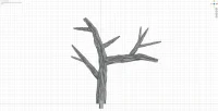 Medium Branch D
