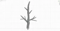 Medium Branch E