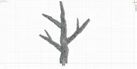Large Branch C