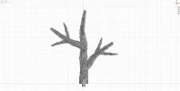 Large Branch D