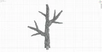 Large Branch E