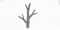Large Branch F