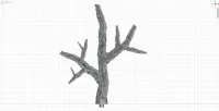 Giant Branch A